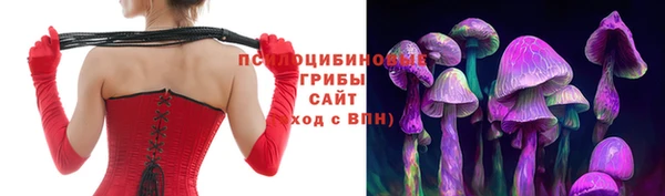 эйфоретик Новодвинск