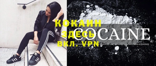 эйфоретик Новодвинск