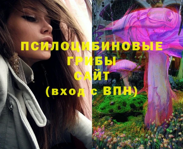 не бодяженный Нефтегорск