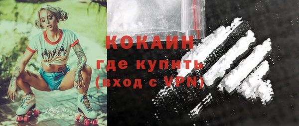 ГАЛЛЮЦИНОГЕННЫЕ ГРИБЫ Новозыбков