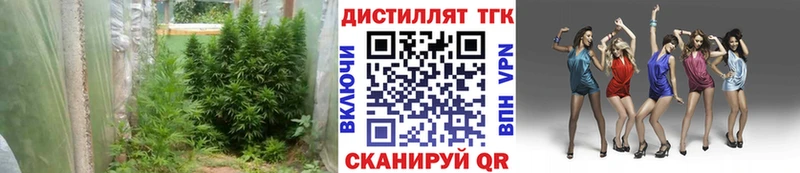 Дистиллят ТГК вейп  купить закладку  Тырныауз 