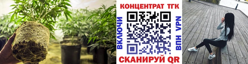 ТГК гашишное масло Тырныауз