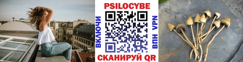 KRAKEN онион  Тырныауз  Галлюциногенные грибы ЛСД 